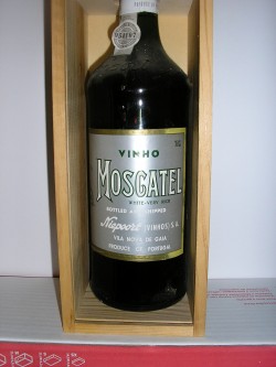 Moscatel Nieport