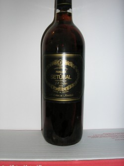 Moscatel J.P. 1990