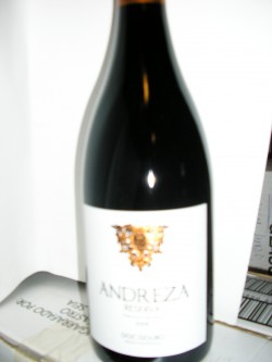 Andreza Reserva T 2013