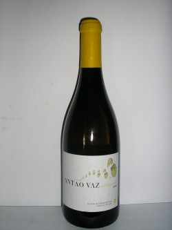 Ant�o Vaz da Peceguina 2010