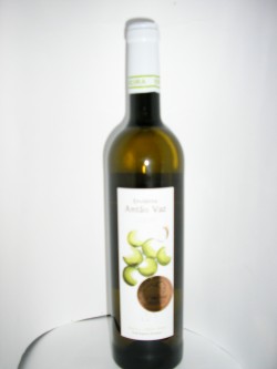 Ervideira Anto Vaz B 2010