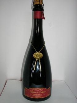 Terras do Demo T Bruto