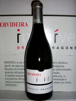 Ervideira Invisivel B 2011